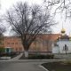 Тимошенко хотят перевести в СИЗО города, где не будет Евро-2012